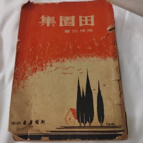 田园集新文化运动书籍无版权初印本，页图5书页序号314为错版（应该为1936年三月最早版本，周楞伽著作，原版孤本）全书原装无动，新钟书局初版，和其他书都不一样