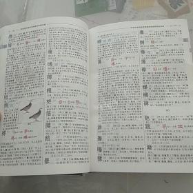 古代汉语字典