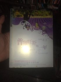 普罗旺斯的一年