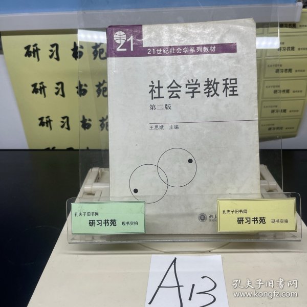 21世纪社会学系列教材：社会学教程（第二版）