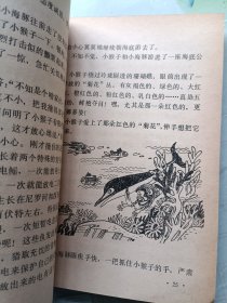 黑蝙蝠智取白蛾王