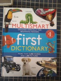 MULTISMART firs DICTIONARY