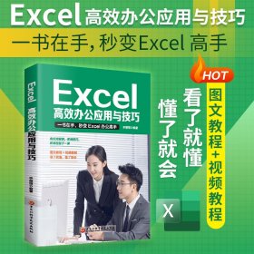 Excel:高效办公应用与技巧 李丽丽 9787571918286