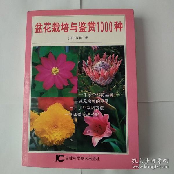 盆花栽培与鉴1000赏种