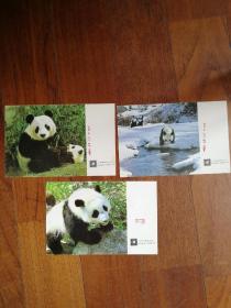 熊猫极限明信片3枚