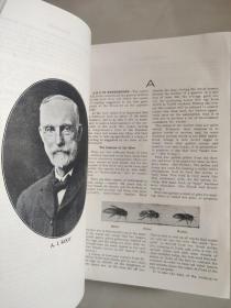 ABC and XYZ of BEE CULTURE 英文原版 1929年 革面精装,封面烫金凹凸印刷，品相较好