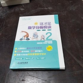 这才是数学分级悦读2