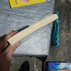 寻找索马里海盗