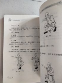 少林秘传技击术