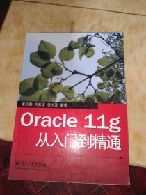 Oracle 11g从入门到精通