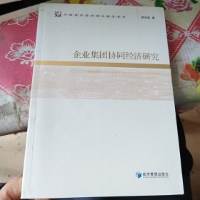 企业集团协同经济研究