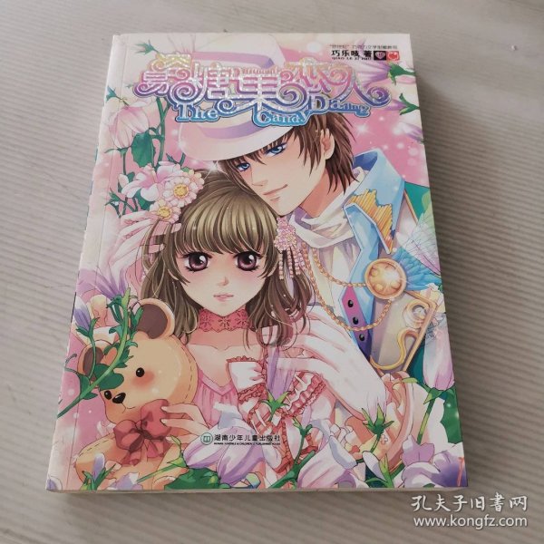 易溶糖果恋人 9787535864970