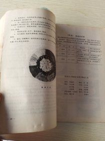 学烧中国菜