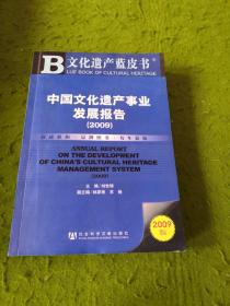 中国文化遗产事业发展报告（2009）