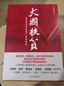 大国扶贫 来自巴中市扶贫一线的报告，