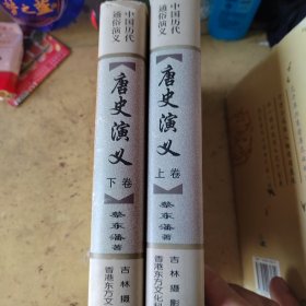 唐史演义，五代史演义，两晋演义等6本合卖