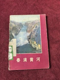 春满黄河