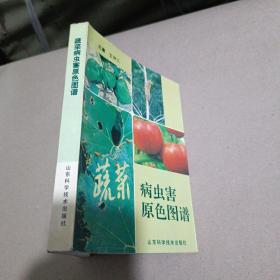 蔬菜病虫害原色图谱