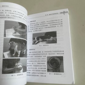 猫病诊疗技术