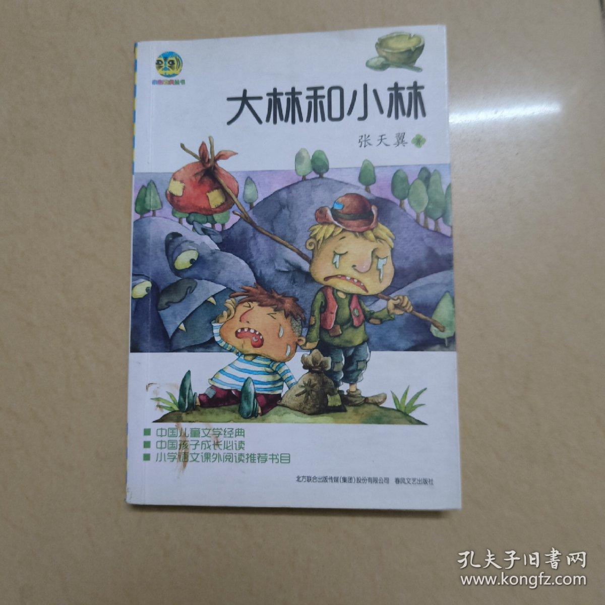 小布老虎丛书：大林和小林