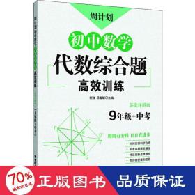 周计划：初中数学代数综合题高效训练（9年级+中考）