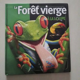 （A La loupe) La Foret Vierge 法文插绘本 精装12开