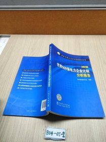 2010世界500强电力企业比较分析报告