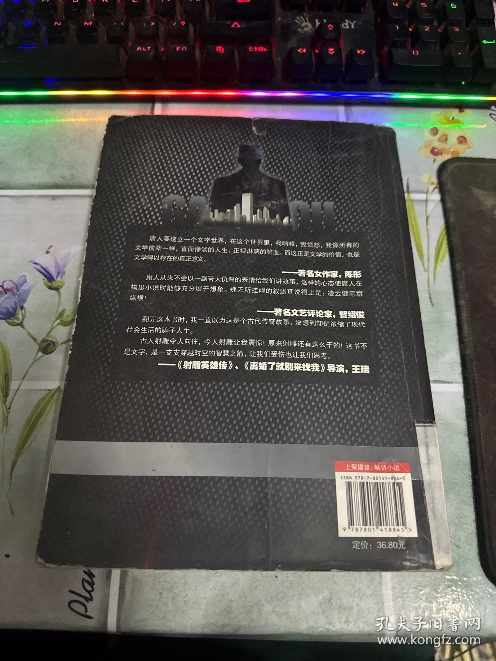 高手（邪派高手--庸人又一力作，教你如何用别人的钱，干自己的事。）