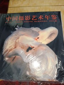 中国摄影艺术年鉴--2009（创史以民，藉史以图，为鉴以史）