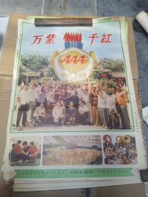 宣传画几幅.万紫千红.小螺号.送货路上等