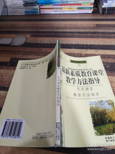 新课程情景教学—化学反应