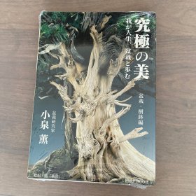 日本盆栽制作大师小泉熏专著：究极的美 盆栽·树钵编