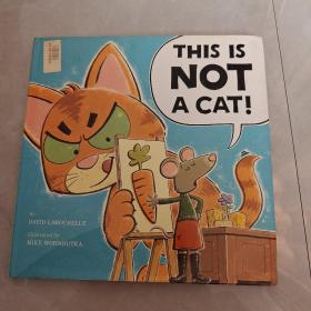 THIS IS NOT A CAT!（这不是猫!）英文版