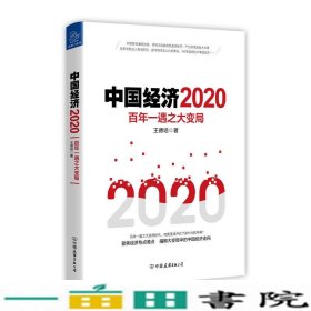 中国经济2020