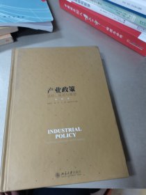 产业政策：总结、反思与展望