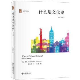 【正版新书】 什么是文化史(第3版)(精)/历史与理论 (英)彼得·伯克 北京大学出版社