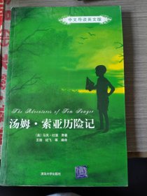 汤姆索亚历险记