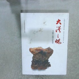 大漠之魂 戈壁石精品鉴赏