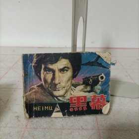 连环画——黑幕(残书)