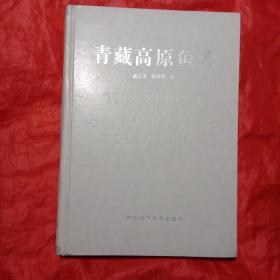 青藏高原鱼类（16开精装）【1992年7月1版1印1000册】