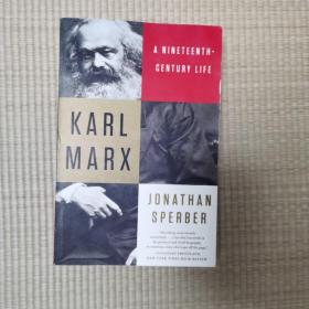 Karl Marx: A Nineteenth-Century Life 卡尔•马克思 一个19世纪的人