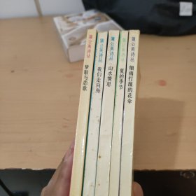 蒲公英诗丛 共计5本合买