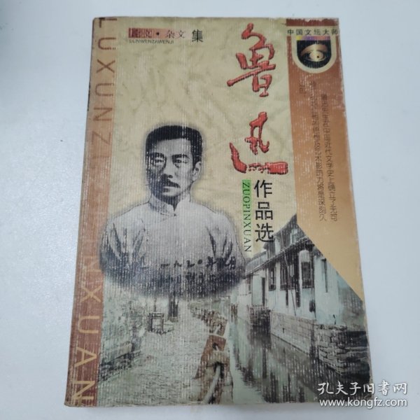 鲁迅作品选：小说·散文集 论文·杂文集