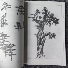 中国画线描柏树画谱天津杨柳青美术国画白描基础临摹范本