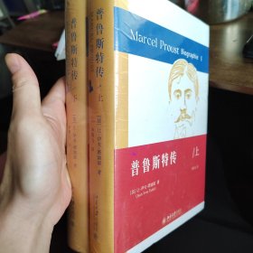 普鲁斯特传（上下） 《追忆似水年华》的创作史 普鲁斯特的心灵史成长史