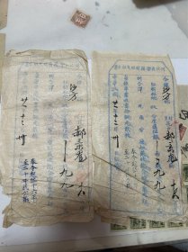 小执照四张