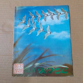 天津风筝--工艺品宣传册