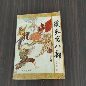 续天龙八部（中册单本）