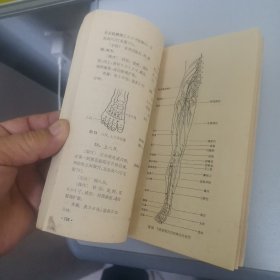 针灸治疗手册〈带毛主席语录〉70年，一版一印