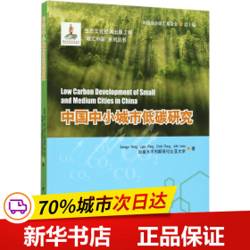 中国中小城市低碳研究/碳汇中国系列丛书